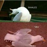 Dead Seagull meme