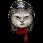 pirate chain cat ARRR