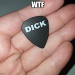 Dick Pick | WTF | image tagged in dick pick | made w/ Imgflip meme maker