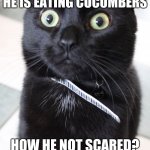 Woah Kitty | HE IS EATING CUCUMBERS; HOW HE NOT SCARED? | image tagged in memes,woah kitty | made w/ Imgflip meme maker