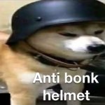 Doge Anti-bonk Helmet