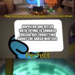 PERFECT! | NAPOLEON AND HITLER BOTH TRYING TO CONQUER RUSSIA, BUT FORGETTING ABOUT THE HARSH WINTERS | image tagged in perfect,ww2,napoleon,hitler,russia,stalin | made w/ Imgflip meme maker