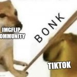 Give it the hardest bonk u got | IMGFLIP COMMUNITY; TIKTOK | image tagged in bonk,tiktok | made w/ Imgflip meme maker