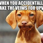 ooooof | WHEN YOU ACCIDENTALLY MISTAKE THE VEIWS FOR UPVOTES | image tagged in frowning dog | made w/ Imgflip meme maker