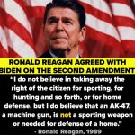 Ronald Reagan Second Amendment