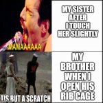 having a brother is better than a sister | MY SISTER AFTER I TOUCH HER SLIGHTLY; MY BROTHER WHEN I OPEN HIS RIB CAGE | image tagged in table chart,siblings,memes,relatable | made w/ Imgflip meme maker