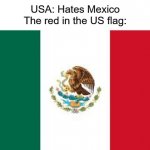 Its Mexican red | USA: Hates Mexico
The red in the US flag: | image tagged in mexican flag,flags,ironic | made w/ Imgflip meme maker