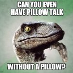 T-Rex wonder | CAN YOU EVEN HAVE PILLOW TALK; WITHOUT A PILLOW? | image tagged in t-rex wonder | made w/ Imgflip meme maker