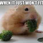 it monday | WHEN IT JUST WON'T FIT | image tagged in broccoli hamster | made w/ Imgflip meme maker