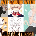 BAKU WHAT IS THIS!? | WTF BAKU!!!! WTF!!! WHAT ARE THESE?! | image tagged in mha,bakugo,wtf | made w/ Imgflip meme maker