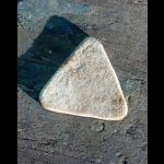 Triangular_rock announcement