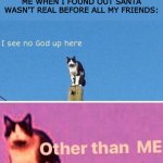 Hail pole cat | ME WHEN I FOUND OUT SANTA WASN'T REAL BEFORE ALL MY FRIENDS: | image tagged in hail pole cat,memes,funny memes | made w/ Imgflip meme maker