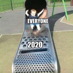 Credits to SophiaWilliams3 for this meme idea | 2019; EVERYONE; 2020; 2021 | image tagged in cheese grater slide | made w/ Imgflip meme maker