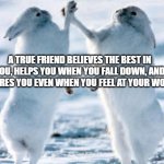 Friend | A TRUE FRIEND BELIEVES THE BEST IN YOU, HELPS YOU WHEN YOU FALL DOWN, AND INSPIRES YOU EVEN WHEN YOU FEEL AT YOUR WORST. | image tagged in best friends | made w/ Imgflip meme maker