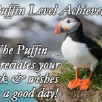 Puffins | Puffin Level Achieved! The Puffin appreciates your work & wishes you a good day! | image tagged in puffins | made w/ Imgflip meme maker