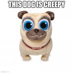 Creepy stuff animal | THIS DOG IS CREEPY | image tagged in creepy stuff animal | made w/ Imgflip meme maker