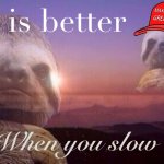 MAGA sloth life is better when you slow down