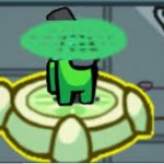 Sus scanner