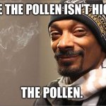 Snoop high pollen | ME: I HOPE THE POLLEN ISN’T HIGH TODAY. THE POLLEN. | image tagged in snoop dog high | made w/ Imgflip meme maker