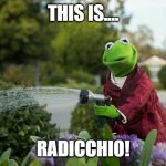 Kermit Plants | THIS IS.... RADICCHIO! | image tagged in kermit plants | made w/ Imgflip meme maker