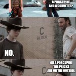 Rick and Carl 3 Meme | YOU KNOW WHAT THE DIFFERENCE IS BETWEEN A PORCUPINE AND A CORVETTE? NO. ON A PORCUPINE THE PRICKS ARE ON THE OUTSIDE. | image tagged in memes,rick and carl 3,porcupine,corvette | made w/ Imgflip meme maker