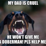 angry doberman | MY DAD IS CRUEL HE WON’T GIVE ME A DOBERMAN! PLS HELP ME! | image tagged in angry doberman | made w/ Imgflip meme maker