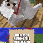 Minecraft Mail | THE PERSON READING THIS MEME IS KIND ENOUGH TO READ THIS STUPID MEME | image tagged in minecraft mail | made w/ Imgflip meme maker