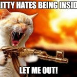 Claws are out... | KITTY HATES BEING INSIDE; LET ME OUT! | image tagged in machine gun cat,outdoors,kitty | made w/ Imgflip meme maker