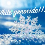 White genocide