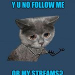 I'm not begging. Just wanna get to 10k | Y U NO FOLLOW ME; OR MY STREAMS? | image tagged in y u no sad cat | made w/ Imgflip meme maker