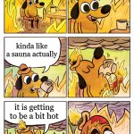 This is Fine Dog | this is fine; kinda like a sauna actually; it is getting to be a bit hot | image tagged in this is fine dog | made w/ Imgflip meme maker