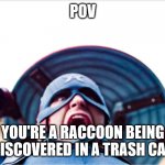 Raccoon POV | POV; YOU'RE A RACCOON BEING DISCOVERED IN A TRASH CAN | image tagged in insane us agent | made w/ Imgflip meme maker