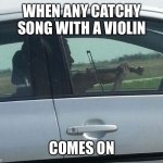 Music fax | WHEN ANY CATCHY SONG WITH A VIOLIN; COMES ON | image tagged in guy playing violin in car | made w/ Imgflip meme maker