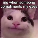 Awkward Smile Cat | me when someone compliments my eyes | image tagged in awkward smile cat | made w/ Imgflip meme maker