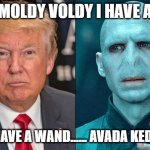 Voldemort and danold | LOOK MOLDY VOLDY I HAVE A NOSE; AND I HAVE A WAND...... AVADA KEDAVRA!! | image tagged in voldemort and danold | made w/ Imgflip meme maker