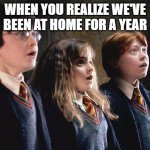 Hermione | WHEN YOU REALIZE WE'VE BEEN AT HOME FOR A YEAR | image tagged in hermione | made w/ Imgflip meme maker