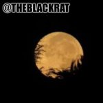 TheBlackRat announcement template