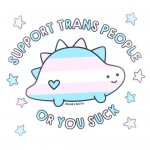 support trans people or you suck