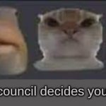 The council decides your fate-2 meme