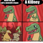 Haha kill me | What do you call a juvenile organ; A KIDney | image tagged in t rex standup comedy crying,i have achieved comedy,dinosaur,bad pun,kill me | made w/ Imgflip meme maker