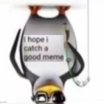  meme