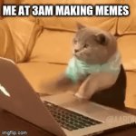 Those random meme ideas tho | ME AT 3AM MAKING MEMES | image tagged in gifs,cats | made w/ Imgflip video-to-gif maker