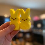 The passion and deppression of peeps meme