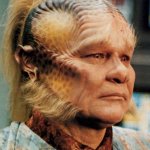 Neelix feels
