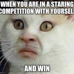 Cursed cat | WHEN YOU ARE IN A STARING COMPETITION WITH YOURSELF; AND WIN | image tagged in cursed cat | made w/ Imgflip meme maker