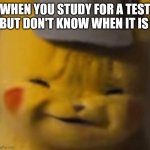 Me in a nutshell | WHEN YOU STUDY FOR A TEST BUT DON'T KNOW WHEN IT IS | image tagged in pika,funny,lol | made w/ Imgflip meme maker