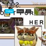 Spleens meme