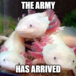 The army | THE ARMY; HAS ARRIVED | image tagged in axolotl | made w/ Imgflip meme maker