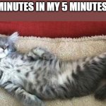 relaxed cat | ME 30 MINUTES IN MY 5 MINUTES BREAK | image tagged in relaxed cat | made w/ Imgflip meme maker
