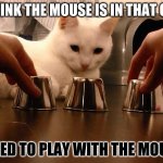 gambling kitteh | I THINK THE MOUSE IS IN THAT ONE. I NEED TO PLAY WITH THE MOUSE. | image tagged in playing catch | made w/ Imgflip meme maker